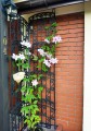 Pergola ANTICO