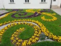 Zastosowanie obrzeża Gardenbord 45 - Rzeszów ul. 3 Maja