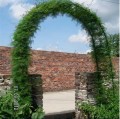 Pergola ogrodowa łukowa 140x38x240cm
