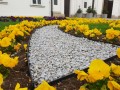 Zastosowanie obrzeża Gardenbord 45 - Rzeszów ul. 3 Maja