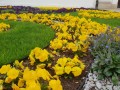 Zastosowanie obrzeży GardenBord