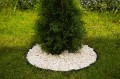 Stella Bord Flex 45 mm  czarne