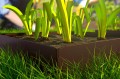 FPX_vege_2_v2.jpg