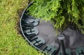 Stella Bord Flex 60 mm zielone