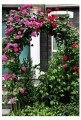 Pergola ogrodowa łukowa 140x38x240cm