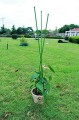 Podpora trójkątna 75cm