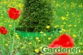 Obrzeże GARDENER zielony