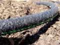 Wąż kroplujący 1/2" - 15m