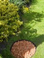 Stella Bord Flex 60 mm czarne