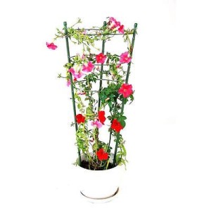 Podpora pierścieniowa 60cm
