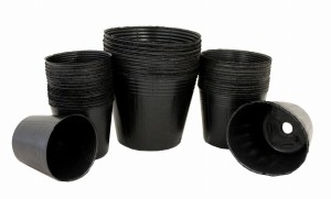 Doniczki do rozsad 75X55X67 mm - 100 szt.