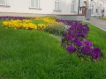 Zastosowanie obrzeży GardenBord