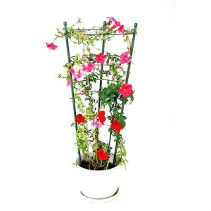 Podpora pierścieniowa 60cm