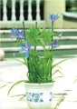 Podpora pierścieniowa 60cm