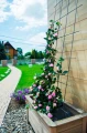 Krata TRELLIS 30x150cm