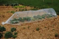 Tunel ogrodowy niski - folia - 4x1,5 m