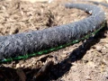 Wąż kroplujący 1/2" - 30m