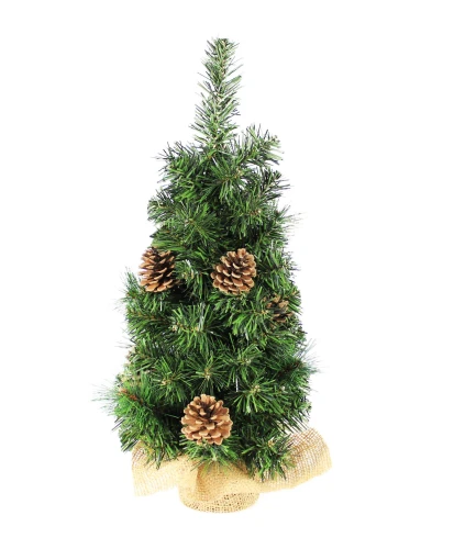 CHOINKA NATURALNA 50 CM