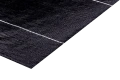 5394.jpg