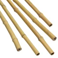 Tyczka do roślin w kształcie bambusa 11mm - 120 cm
