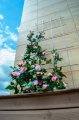Krata TRELLIS 45x150cm