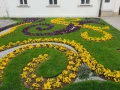 Zastosowanie obrzeży GardenBord