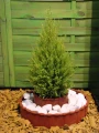 Palisada GARDENER jasny brąz kpl. 4 szt.