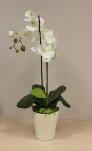 Podpora do roślin 40 cm kpl. 20 szt.